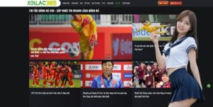 The Role of Technology in Modern Fandom